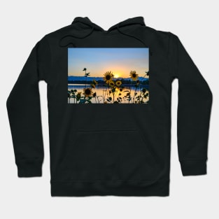 Wildflower Sunset Hoodie